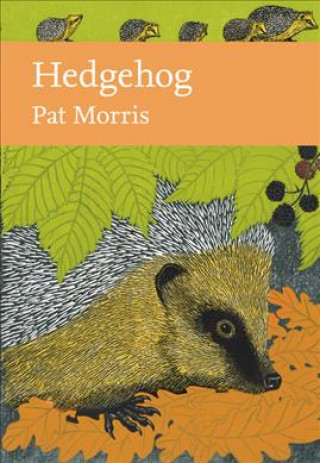 Książka Hedgehog Pat Morris