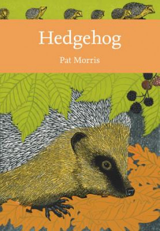 Carte Hedgehog Pat Morris