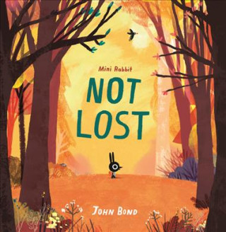 Βιβλίο Mini Rabbit Not Lost John Bond
