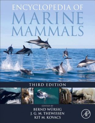 Könyv Encyclopedia of Marine Mammals Bernd Wursig