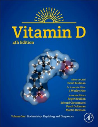 Könyv Vitamin D David Feldman