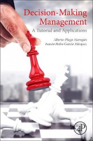 Knjiga Decision-Making Management Alberto Pliego Marugan