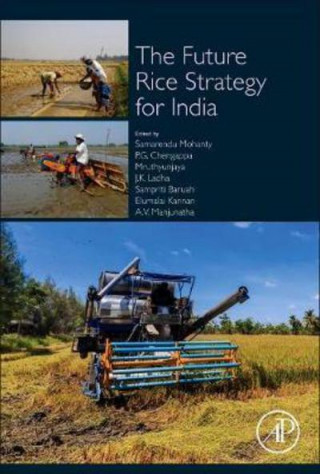 Livre Future Rice Strategy for India Samrendu Mohanty