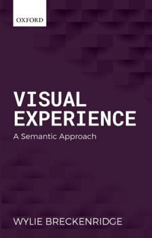 Knjiga Visual Experience Wylie Breckenridge