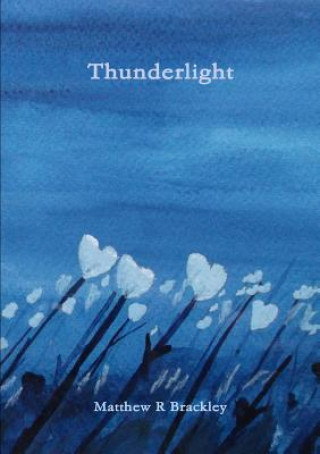 Knjiga Thunderlight Matthew R Brackley