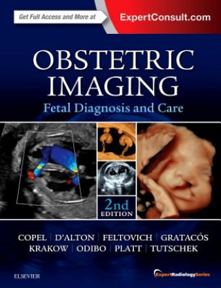 Knjiga Obstetric Imaging: Fetal Diagnosis and Care Joshua Copel