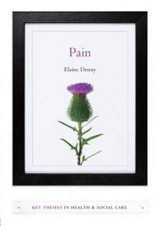 Книга Pain - A Sociological Introduction E. Denny