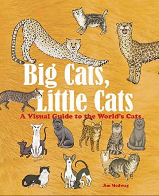 Carte Big Cats, Little Cats Jim Medway