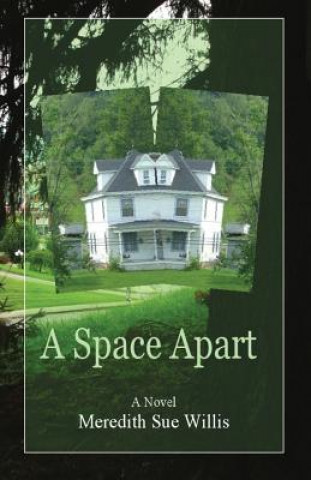 Book Space Apart Meredith Sue Willis