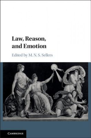 Книга Law, Reason, and Emotion Mortimer Sellers
