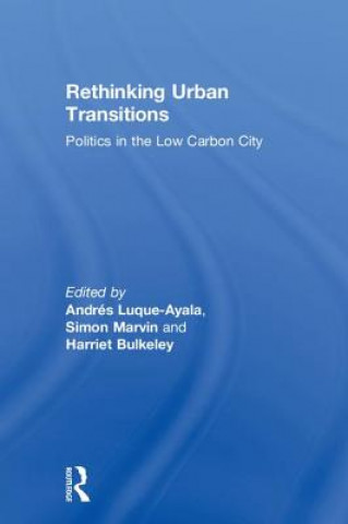 Kniha Rethinking Urban Transitions 