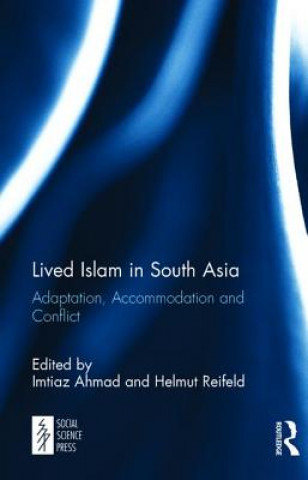 Книга Lived Islam in South Asia 