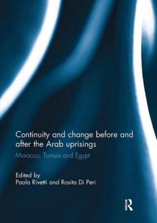 Könyv Continuity and change before and after the Arab uprisings 