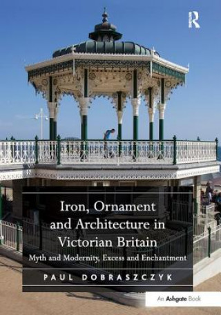 Könyv Iron, Ornament and Architecture in Victorian Britain Paul Dobraszczyk