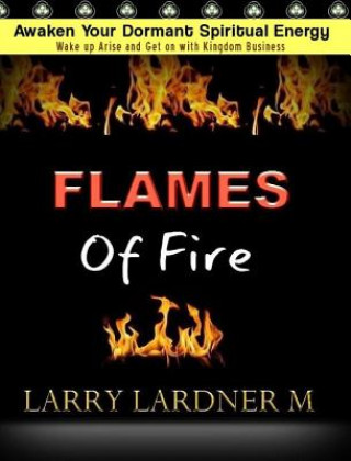 Kniha FLAMES Of Fire Larry Lardner Maribhar