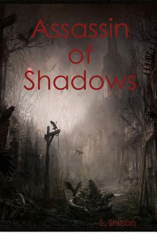 Kniha Assassin of Shadows S. Shilson