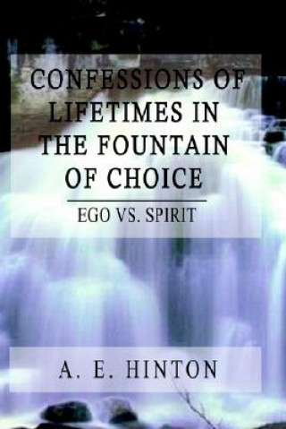 Kniha Confessions of Lifetimes in the Fountain of Choice A. E. Hinton