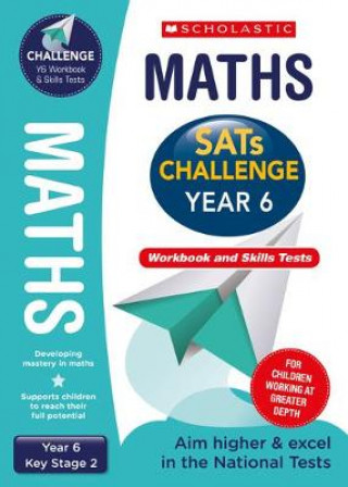 Kniha Maths Challenge Pack (Year 6) Tim Handley