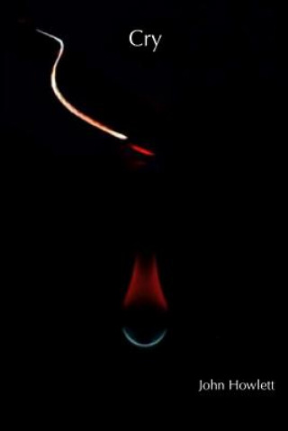 Knjiga Cry John Howlett
