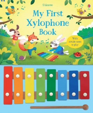 Knjiga My First Xylophone Book Sam Taplin