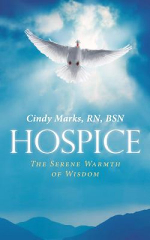 Kniha Hospice RN BSN MARKS