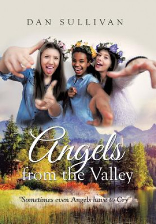 Knjiga Angels from the Valley DAN SULLIVAN