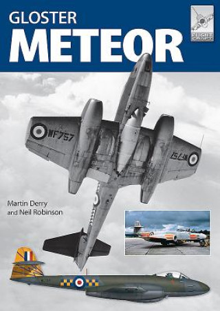 Carte Flight Craft 13: The Gloster Meteor in British Service Martin Derry