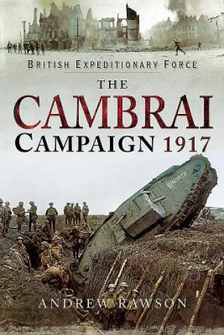 Kniha Cambrai Campaign 1917 Andrew Rawson