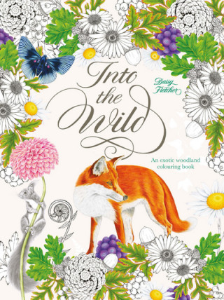 Kniha Into the Wild Daisy Fletcher