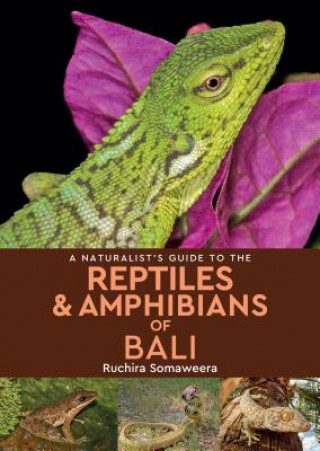 Carte Naturalist's Guide to the Reptiles & Amphibians of bali RUCHIRA SOMAWEERA