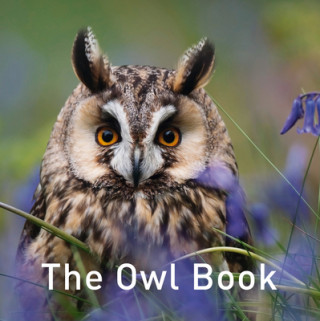 Kniha Owl Book Jane Russ