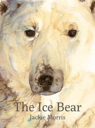 Book Ice Bear Jackie Morris
