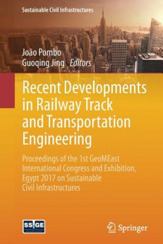 Kniha Recent Developments in Railway Track and Transportation Engineering João Pombo