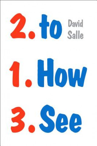 Könyv How to See David Salle