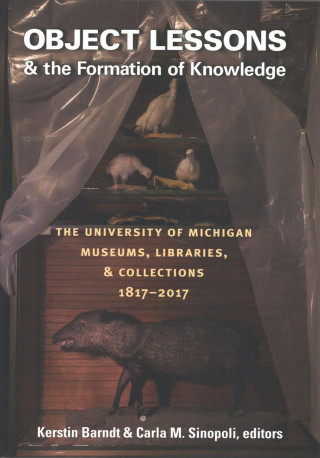 Книга Object Lessons and the Formation of Knowledge Kerstin Barndt