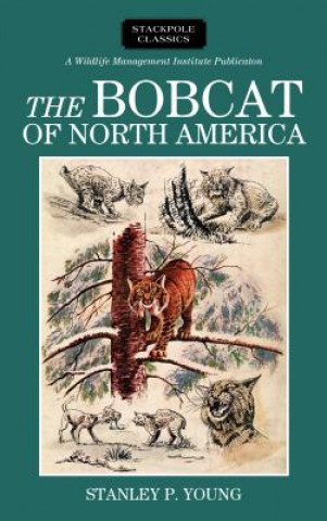 Carte Bobcat of North America Stanley P. Young