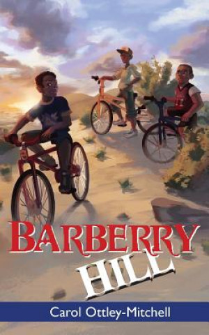 Kniha Barberry Hill Carol Ottley-Mitchell