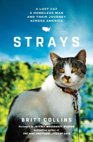 Kniha Strays: A Lost Cat, a Drifter, and Their Journey Across America Britt Collins