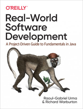 Buch Real-World Software Development Raoul-Gabriel Urma