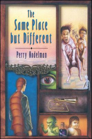 Книга SAME PLACE BUT DIFFERENT Perry Nodelman