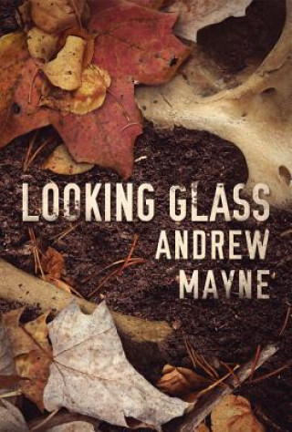 Книга Looking Glass Andrew Mayne