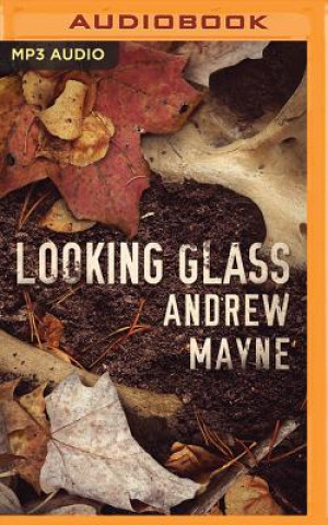 Audio Looking Glass Andrew Mayne