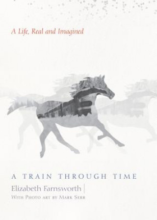 Kniha A Train Through Time: A Life, Real and Imagined Elizabeth Farnsworth
