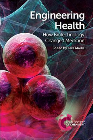 Kniha Engineering Health Lara Marks