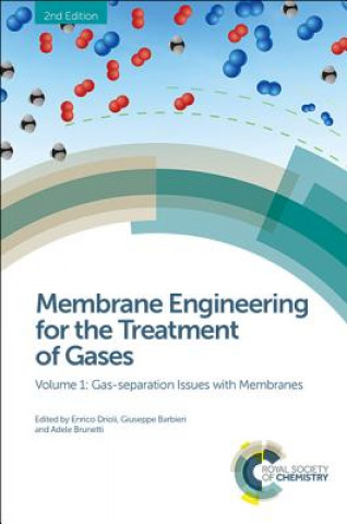 Kniha Membrane Engineering for the Treatment of Gases Elena Tocci