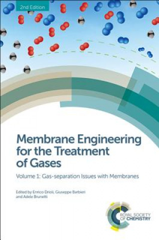 Knjiga Membrane Engineering for the Treatment of Gases Elena Tocci