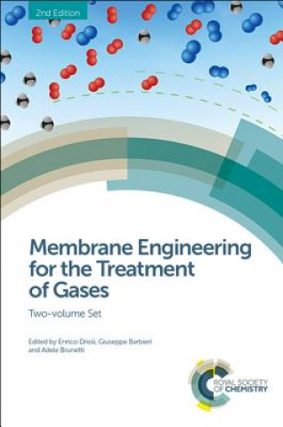 Kniha Membrane Engineering for the Treatment of Gases Enrico Drioli