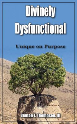 Knjiga Divinely Dysfunctional III Benton T. Thompson