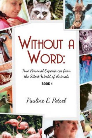 Книга Without a Word Pauline E Petsel