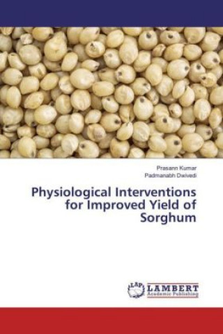 Книга Physiological Interventions for Improved Yield of Sorghum Prasann Kumar